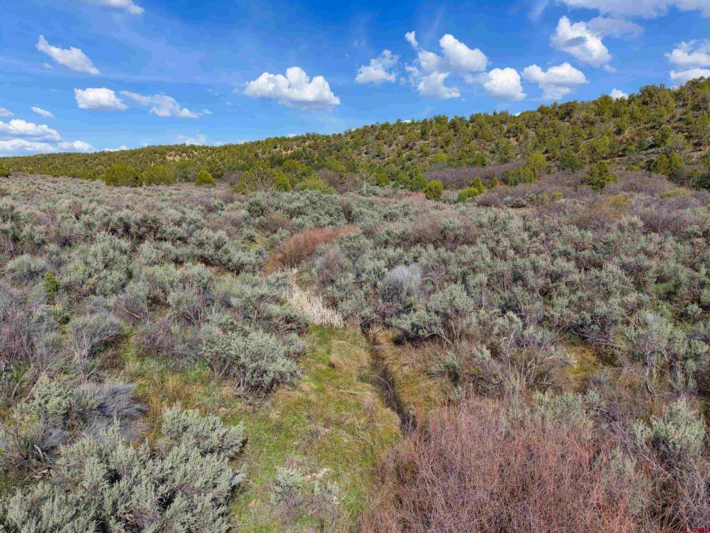 Tbd Cr 136 Property Photo 12