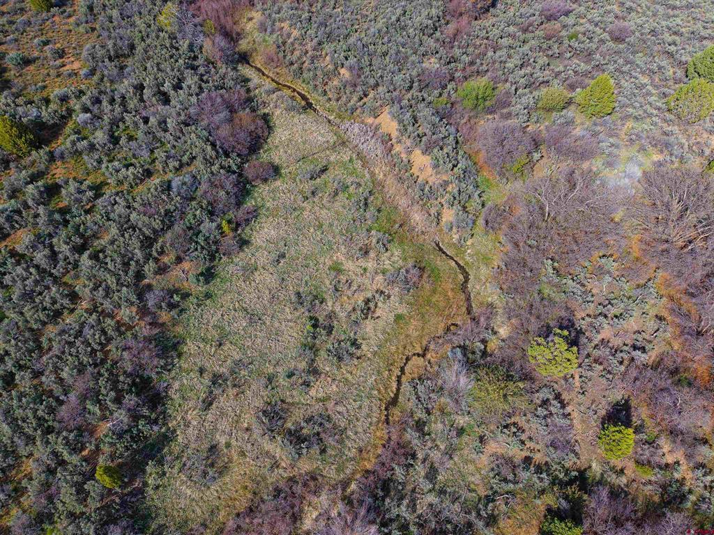 Tbd Cr 136 Property Photo 13