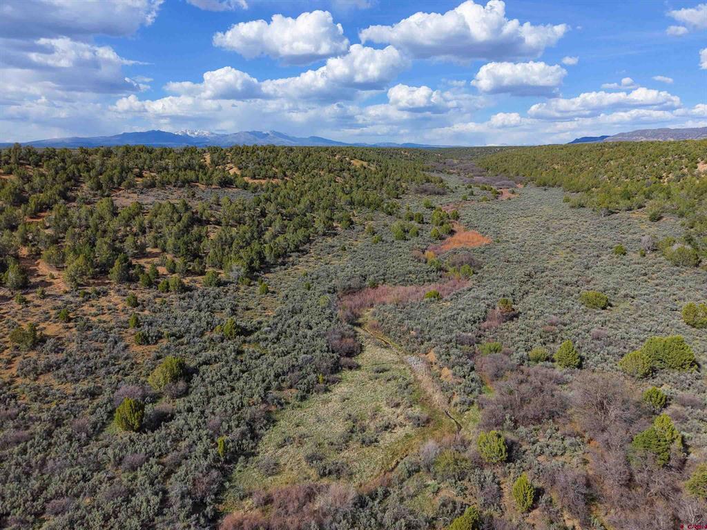Tbd Cr 136 Property Photo 14