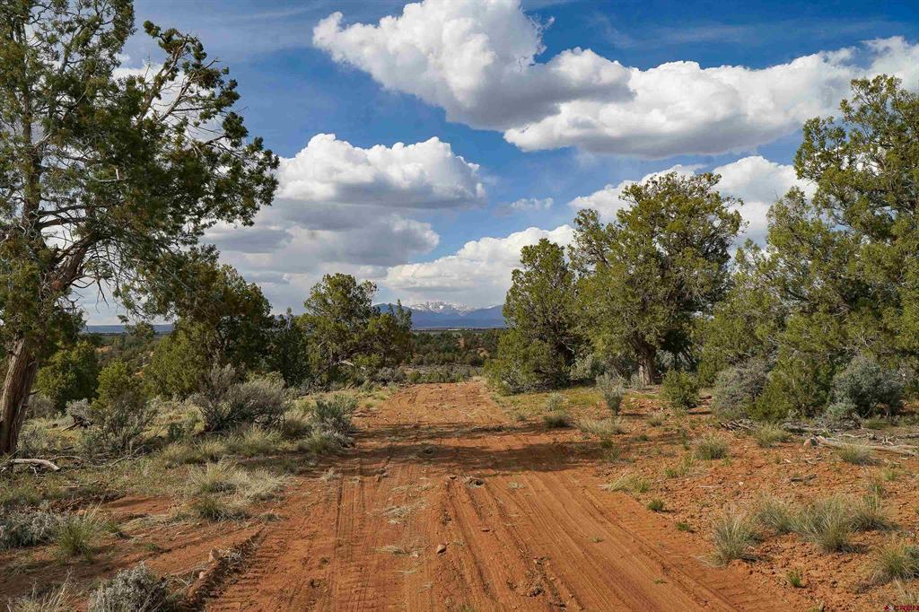 Tbd Cr 136 Property Photo 18