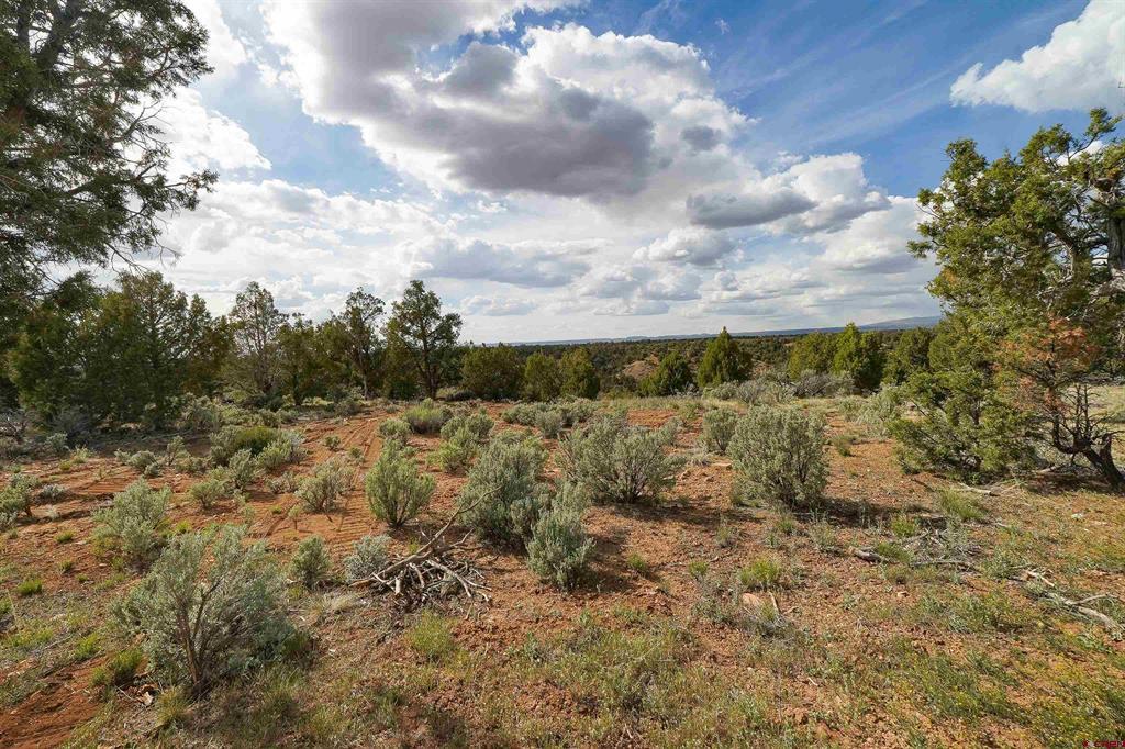 Tbd Cr 136 Property Photo 19