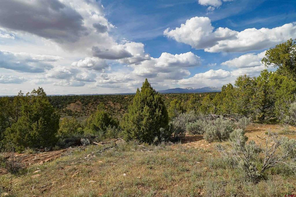 Tbd Cr 136 Property Photo 20