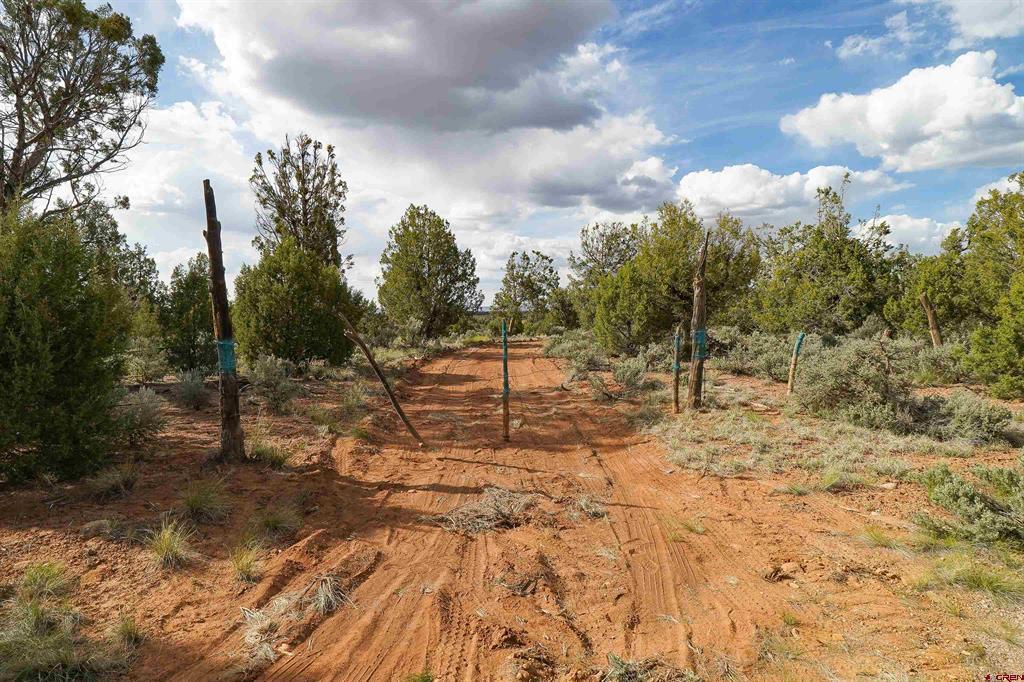 Tbd Cr 136 Property Photo 21