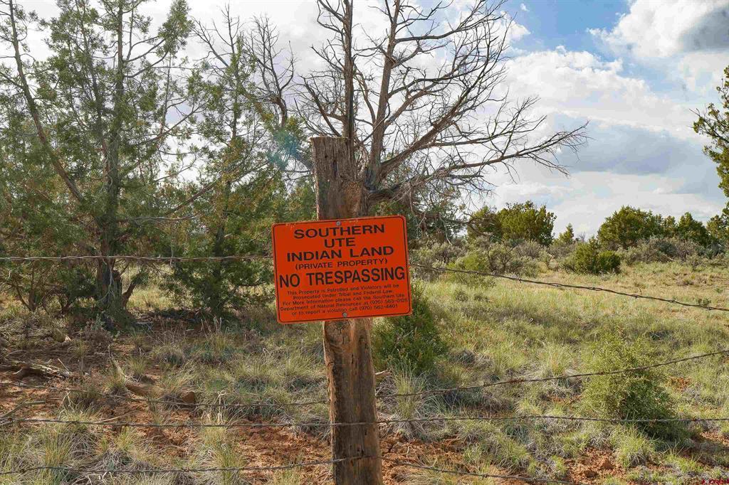 Tbd Cr 136 Property Photo 22
