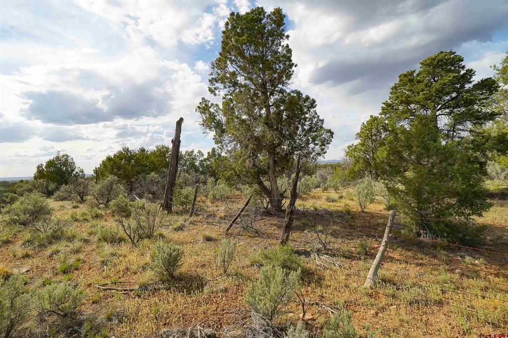 Tbd Cr 136 Property Photo 23