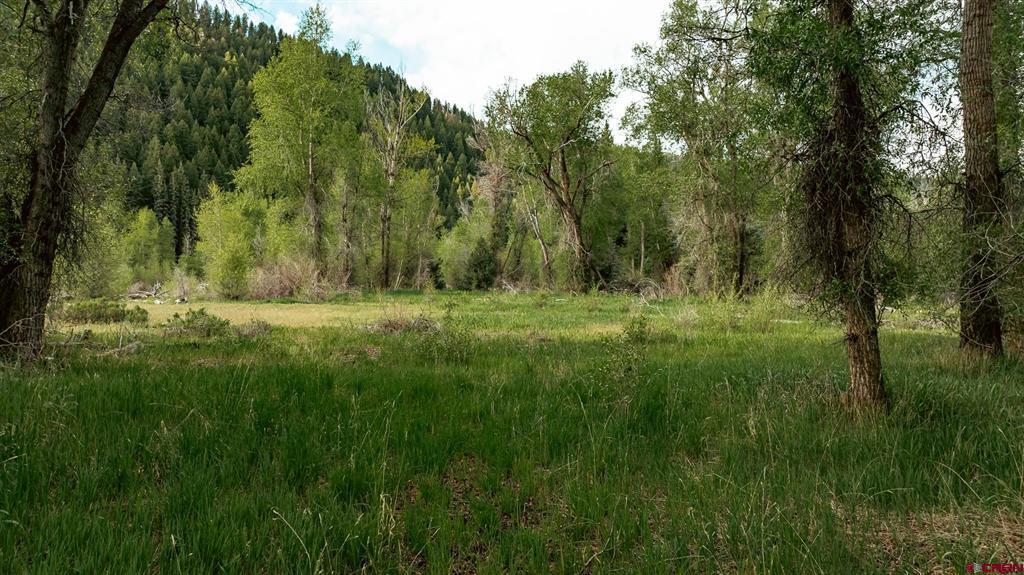 27048 County Rd 12 Property Photo 7