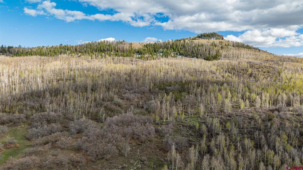 83880 Elk Ridge Trail Property Photo 15