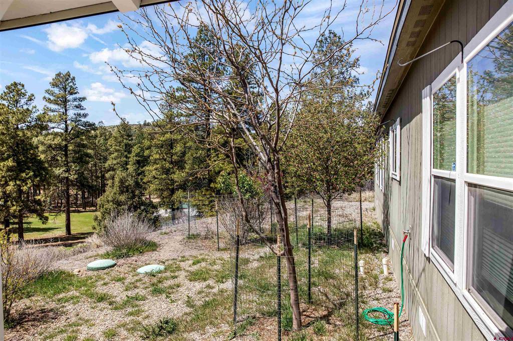 85 Hummingbird Place Property Photo 6