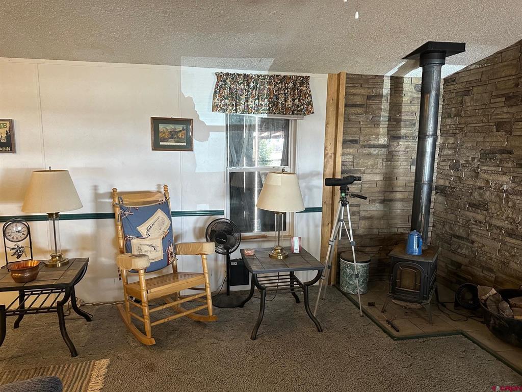 4100 Usfs Road 515 #180 Property Photo 15
