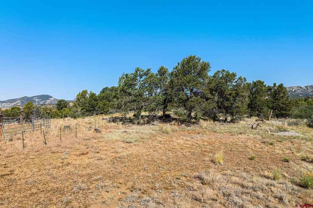 569 Cr 233 Property Photo 19
