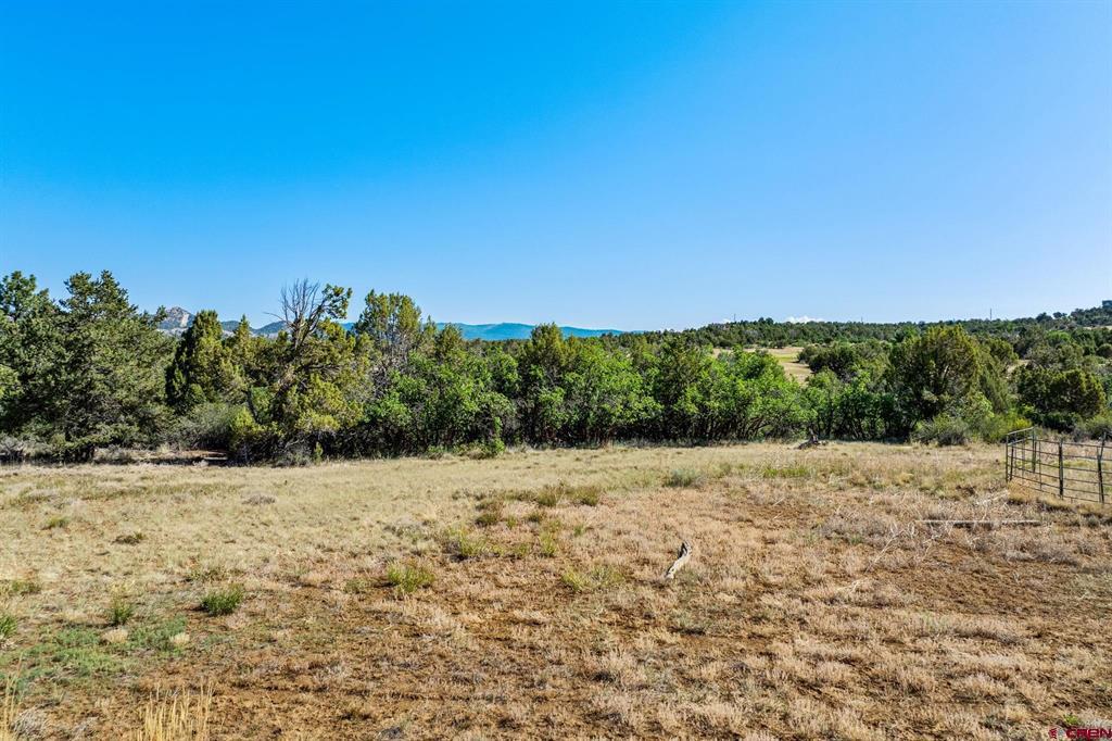 569 Cr 233 Property Photo 20