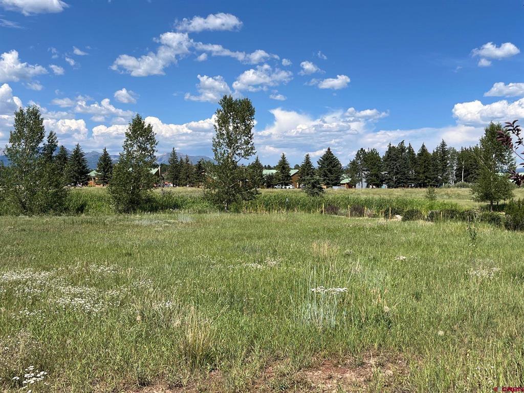 X Talisman Drive Property Photo 3