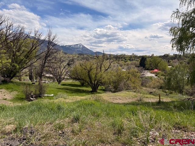 Lot 33 Box Elder Drive Property Photo 1