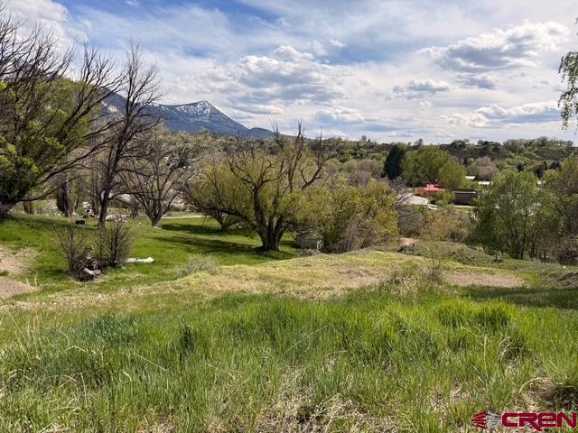 Lot 33 Box Elder Drive Property Photo 3