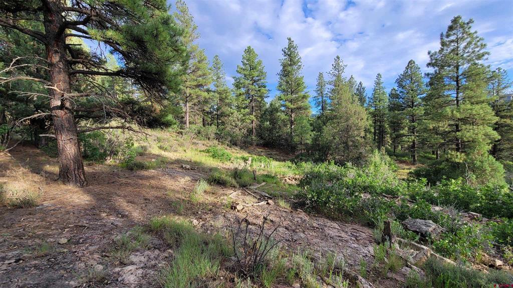814 Ginger Circle Property Photo 5