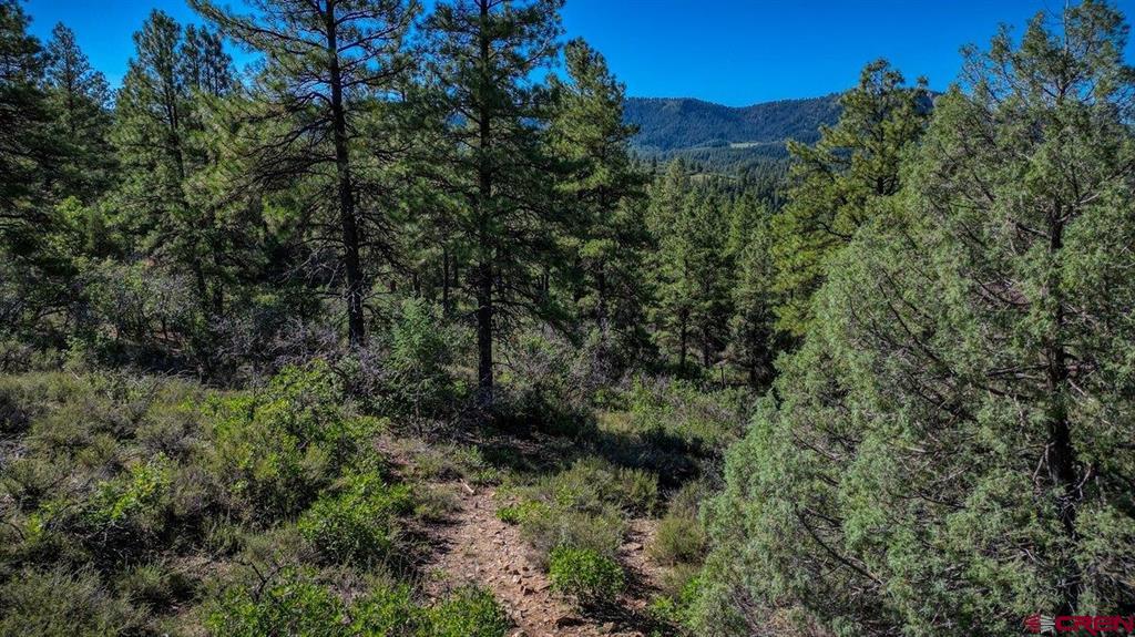 814 Ginger Circle Property Photo 7