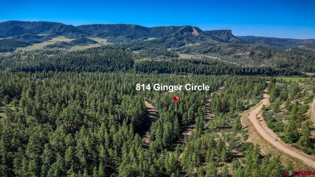 814 Ginger Circle Property Photo 8