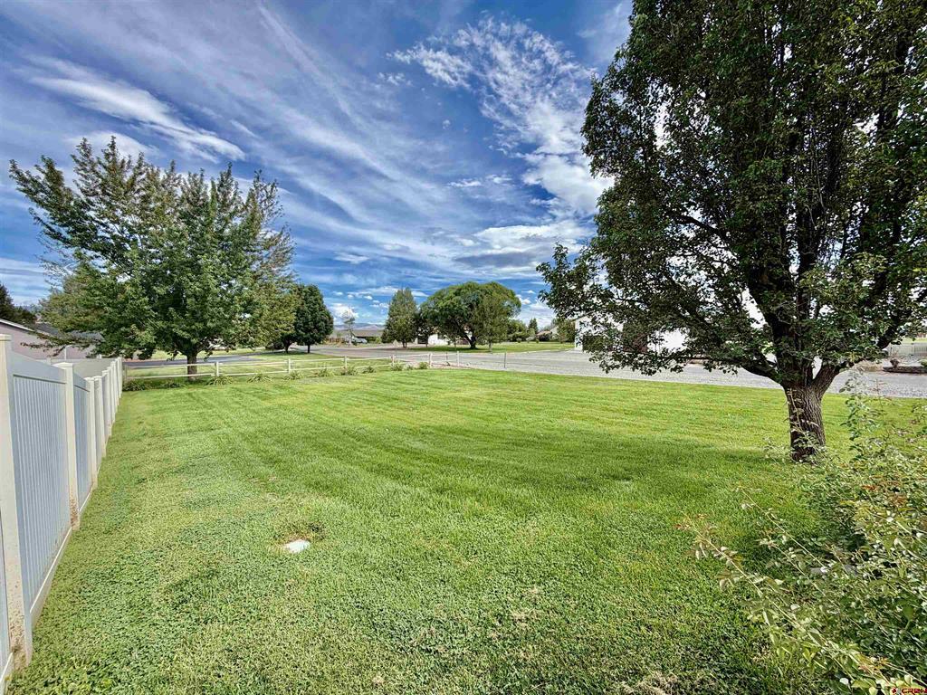 11595 Joyful Way Property Photo 31