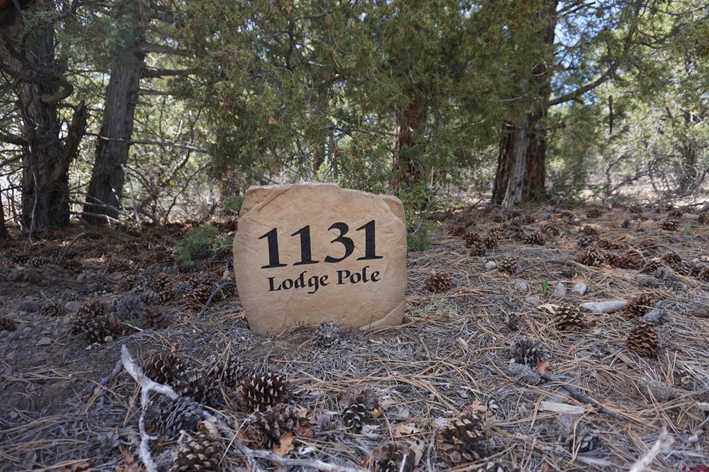 1131 Lodge Pole Drive Property Photo 3