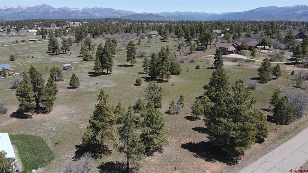 1570 Cool Pines Property Photo