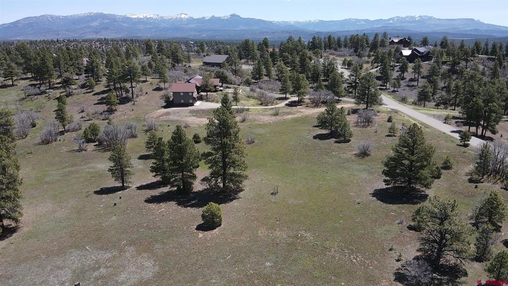 1570 Cool Pines Property Photo 2