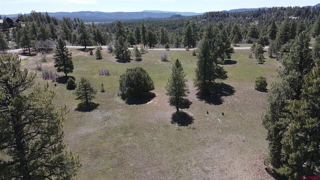 1570 Cool Pines Property Photo 4