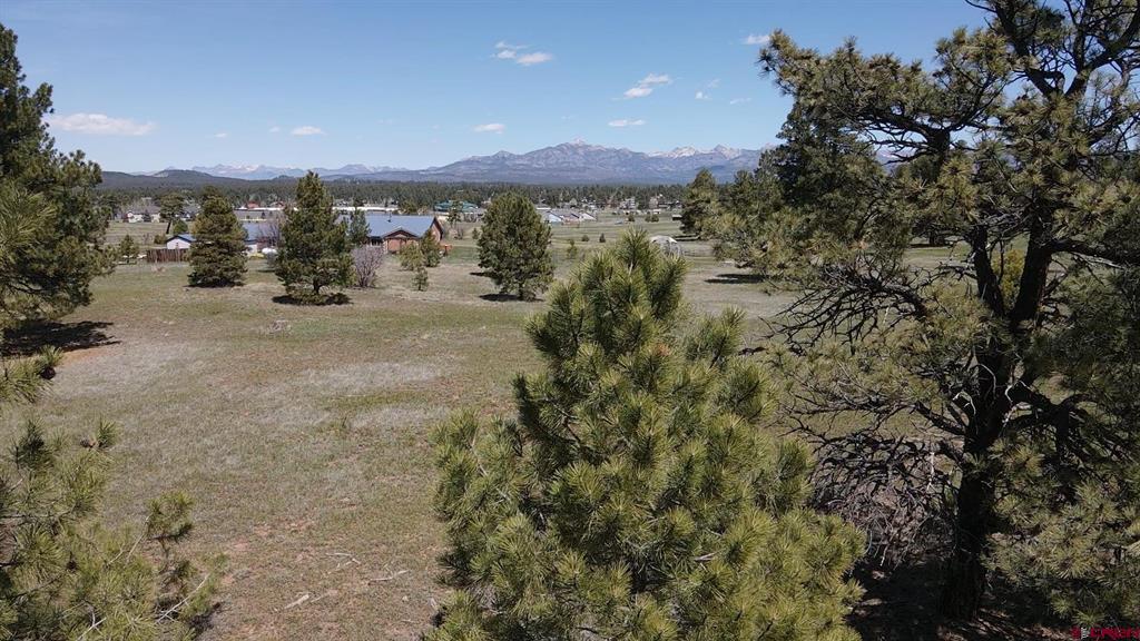 1570 Cool Pines Property Photo 6