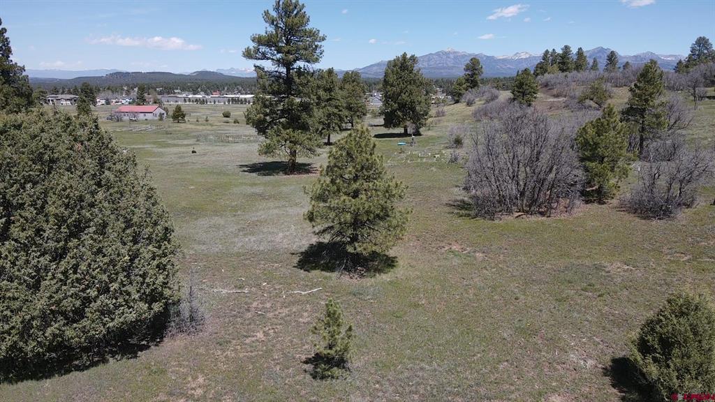 1570 Cool Pines Property Photo 7