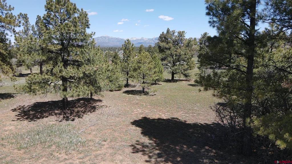 1570 Cool Pines Property Photo 8