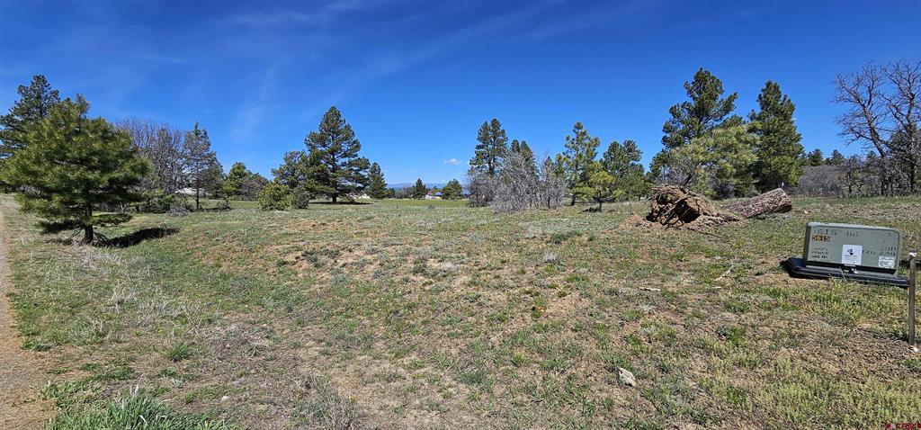 1570 Cool Pines Property Photo 9