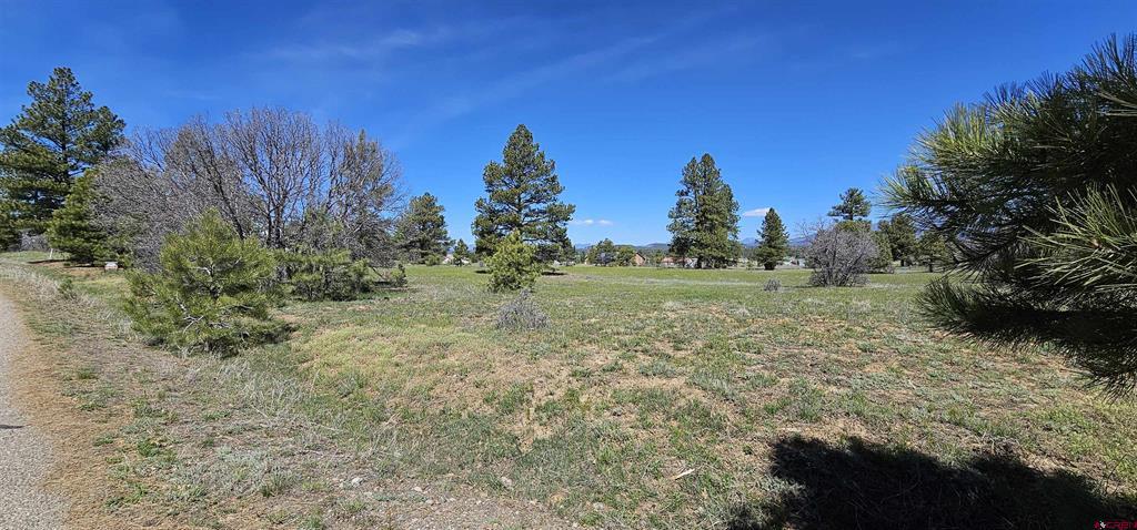 1570 Cool Pines Property Photo 10