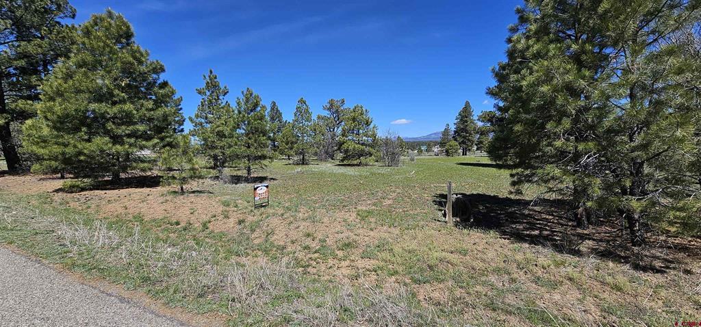 1570 Cool Pines Property Photo 11