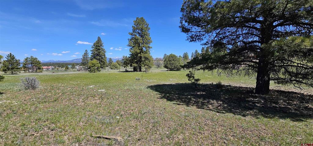 1570 Cool Pines Property Photo 12
