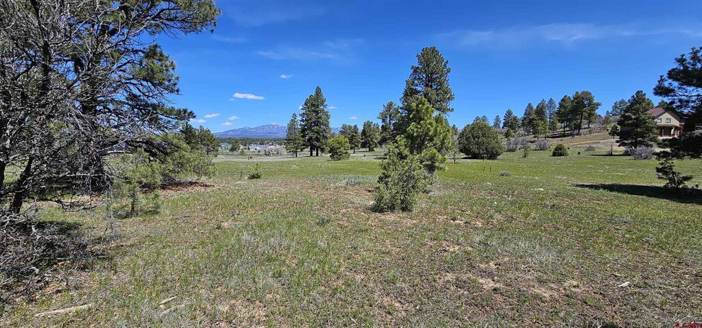 1570 Cool Pines Property Photo 13