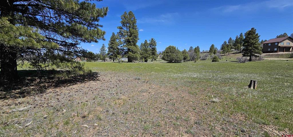 1570 Cool Pines Property Photo 14