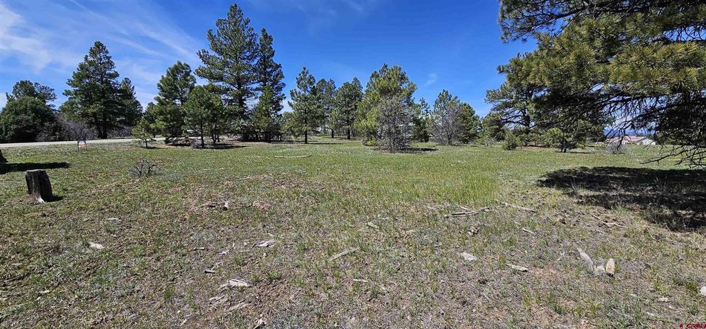 1570 Cool Pines Property Photo 15