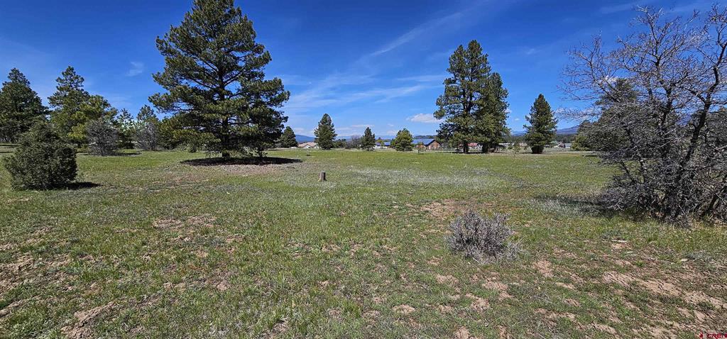 1570 Cool Pines Property Photo 16