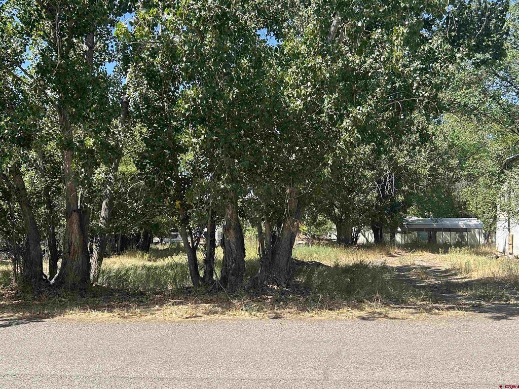 610 Grape Street Property Photo 1