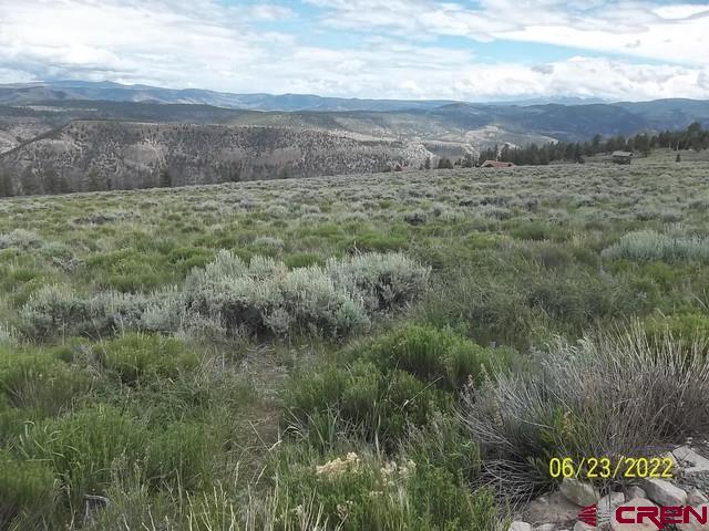 1092 Cinnamon Trail Property Photo 3