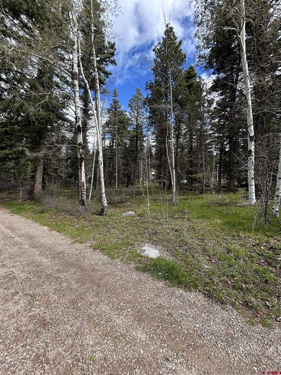 112 Sierra Verde Drive Property Photo 2