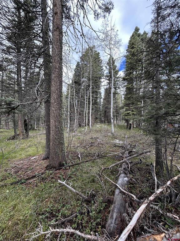 112 Sierra Verde Drive Property Photo 3