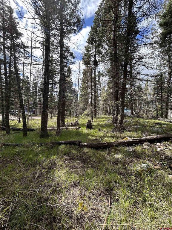 112 Sierra Verde Drive Property Photo 4