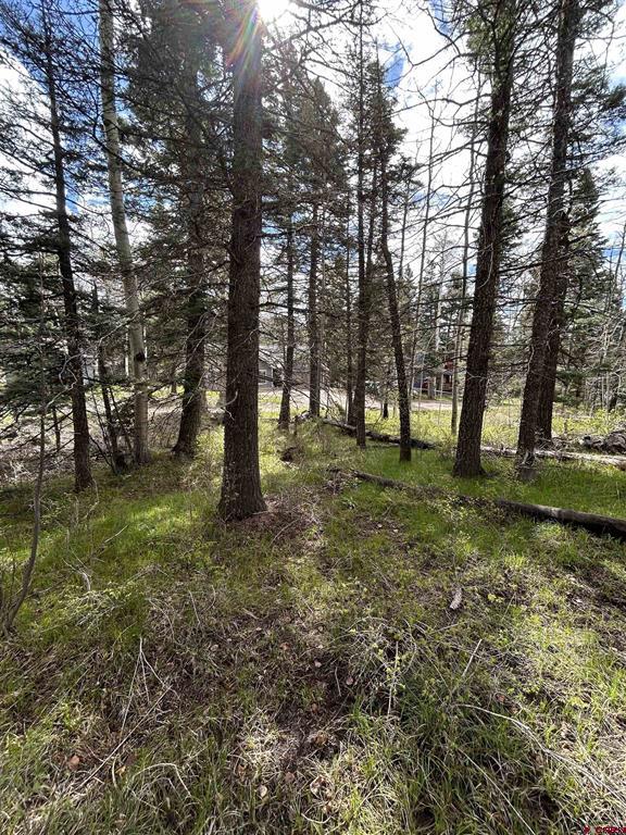 112 Sierra Verde Drive Property Photo 6
