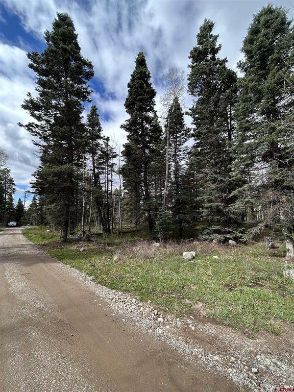 112 Sierra Verde Drive Property Photo 8