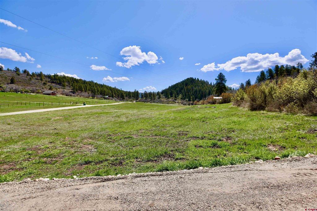242 Pine Springs Drive Property Photo 1