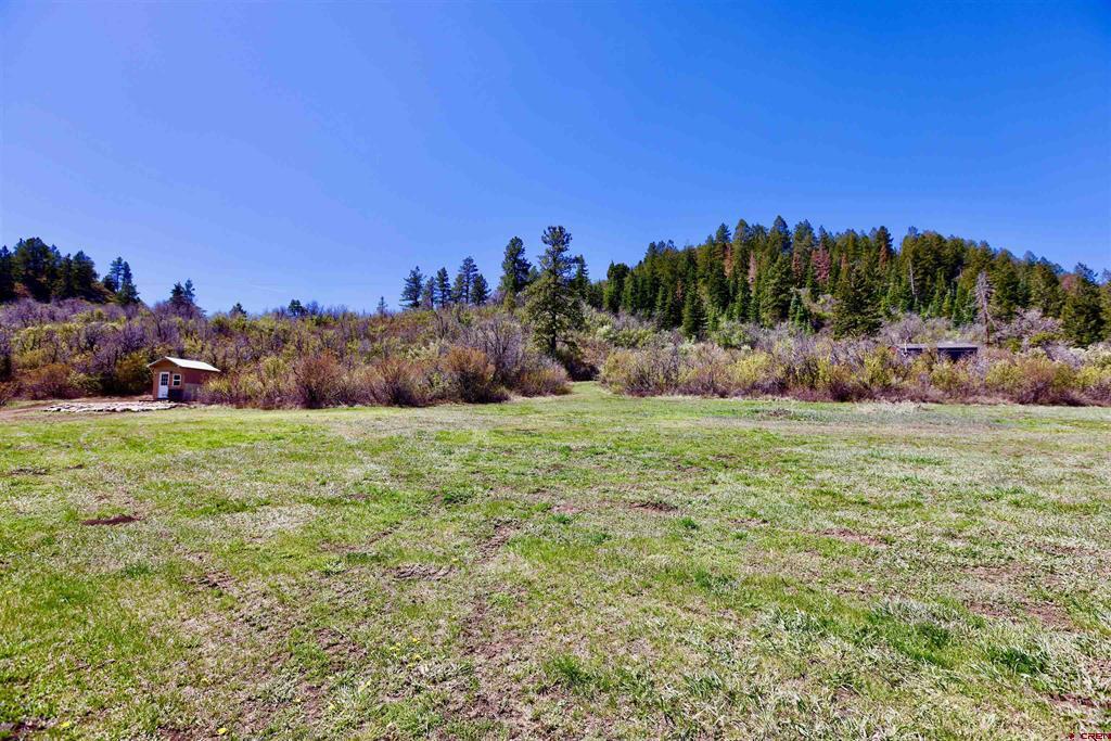 242 Pine Springs Drive Property Photo 10