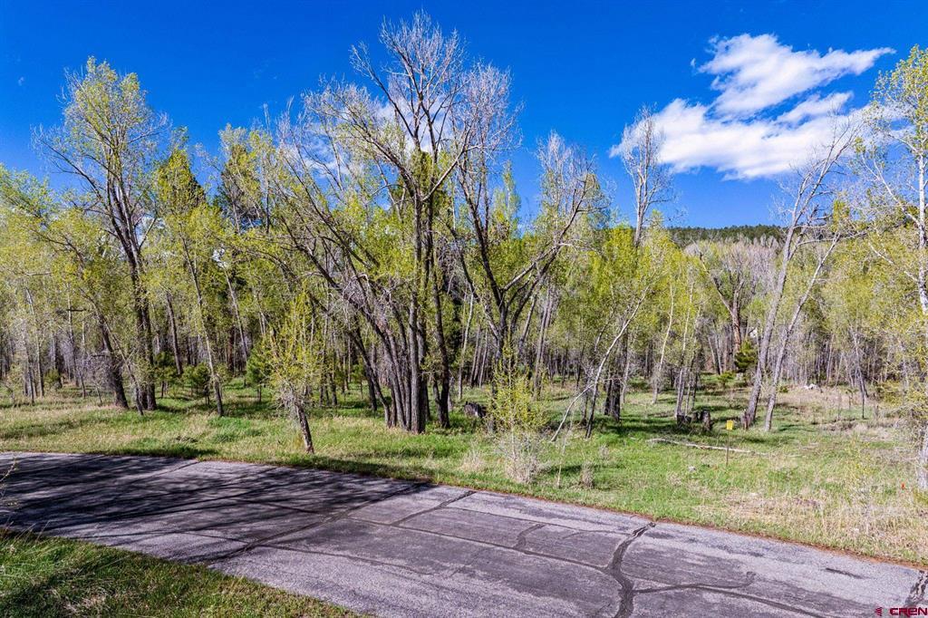 65 Pinestone Drive Property Photo 12