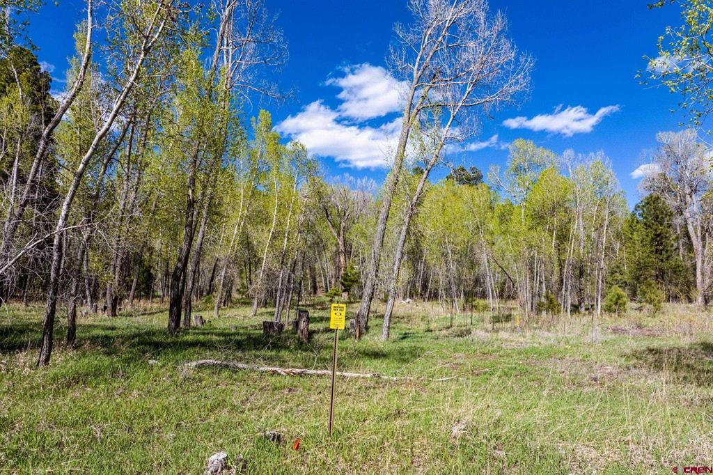 65 Pinestone Drive Property Photo 14