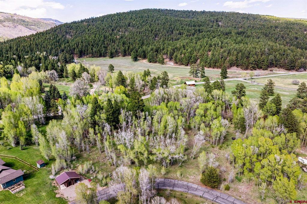 65 Pinestone Drive Property Photo 15