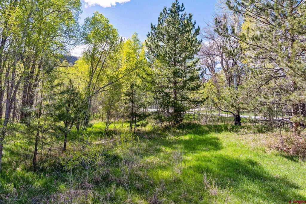 65 Pinestone Drive Property Photo 21